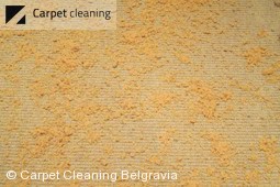 Carpet dry cleaning services in Belgravia SW1