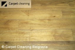 Belgravia hard floor cleaners 